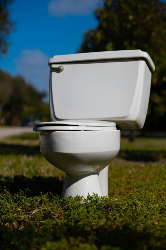 A white toilet sitting on a grassy lawn under a blue sky